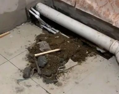仁怀卫生间漏水检测哪家好